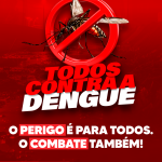 Campanha Dengue 2025 – Dezembro Feed