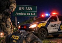 Cão farejador localiza droga às margens da BR-369 em Jandaia do Sul