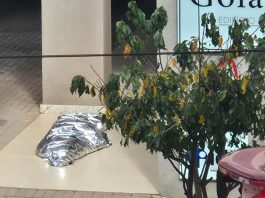 Tragédia no centro de Apucarana: mulher morre após queda do 6º andar de edifício