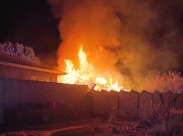 Polícia Civil prende mulher suspeita de envolvimento em morte e incêndio que chocou Faxinal
