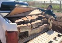PRF apreende quase uma tonelada de maconha e recupera caminhonete furtada em Faxinal