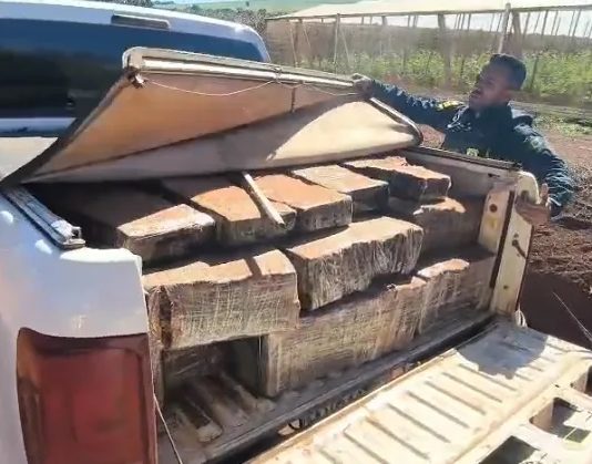 PRF apreende quase uma tonelada de maconha e recupera caminhonete furtada em Faxinal