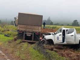 Cinco jovens morrem em batida frontal devastadora no Paraná