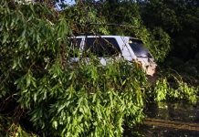 Temporal causa estragos em várias cidades do Vale do Ivaí; árvore cai sobre carro na pr-466