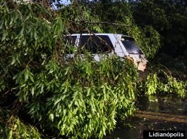Temporal causa estragos em várias cidades do Vale do Ivaí; árvore cai sobre carro na pr-466