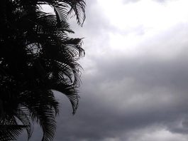 🌦️ PREVISÃO DO TEMPO — CAMBIRA