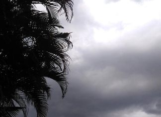 🌦️ PREVISÃO DO TEMPO — CAMBIRA